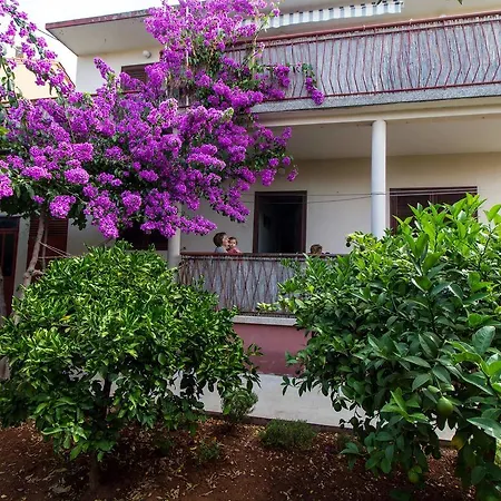 Διαμέρισμα Borna *